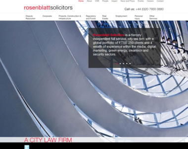 Law Firm Website Design 15