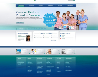 Medical Website Design Concept 2